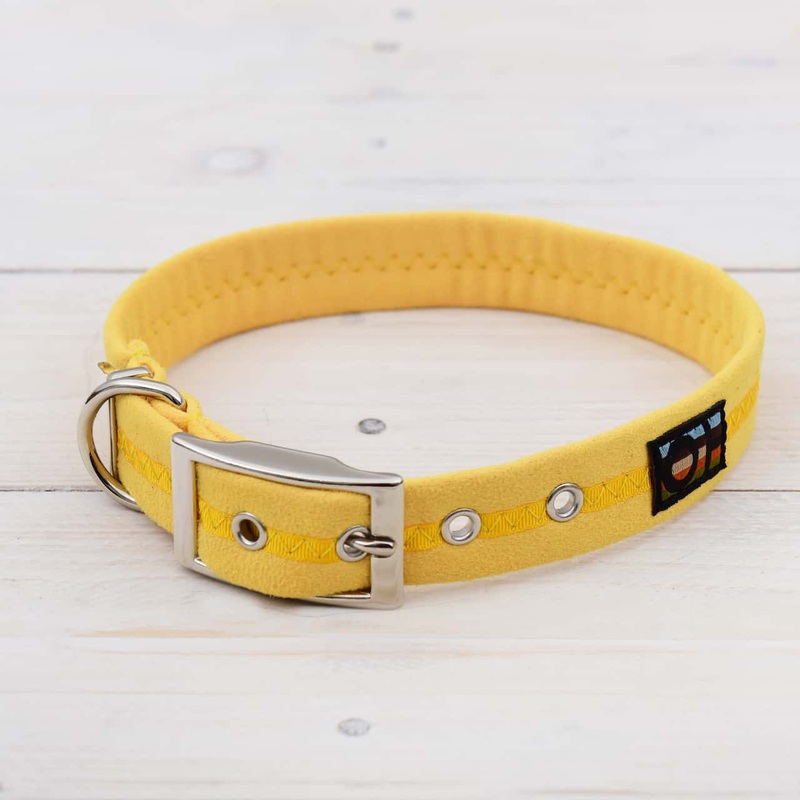 Yellow Oscar and Hooch Dog Collar