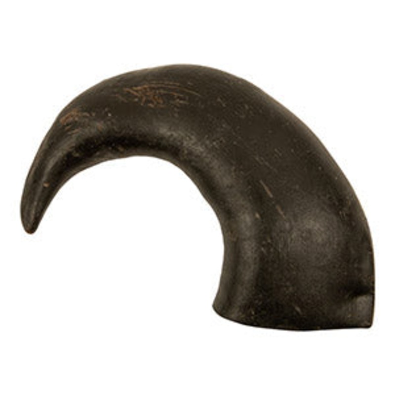 Buffalo Horns for Dogs