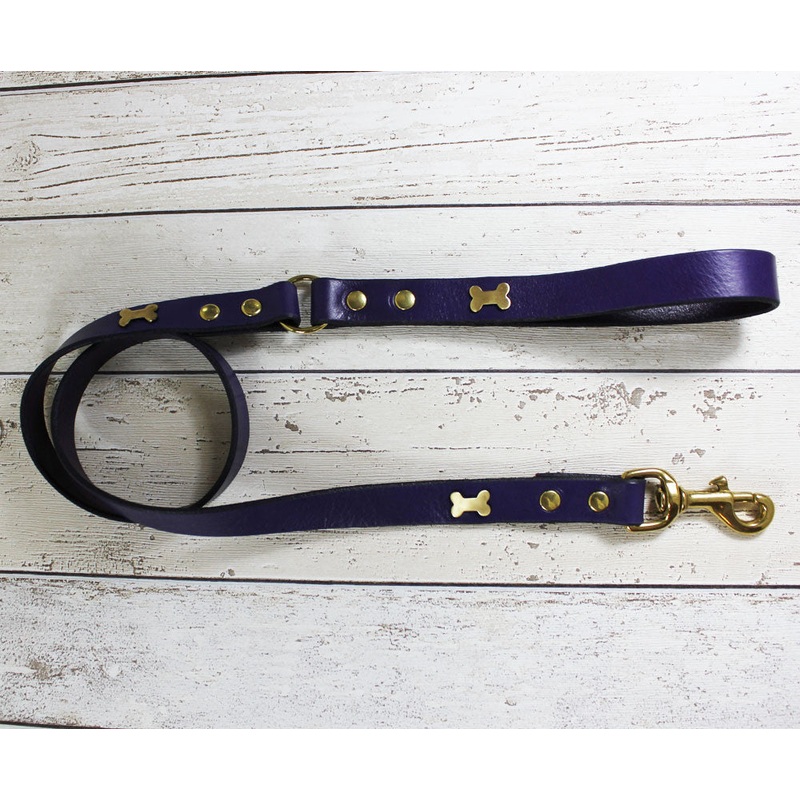 Creatures Clothes Blue Bone Leather Lead