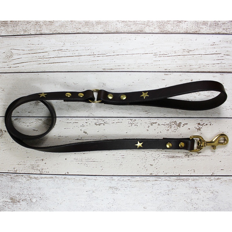 Creatures Clothes Brown Star Leather Lead