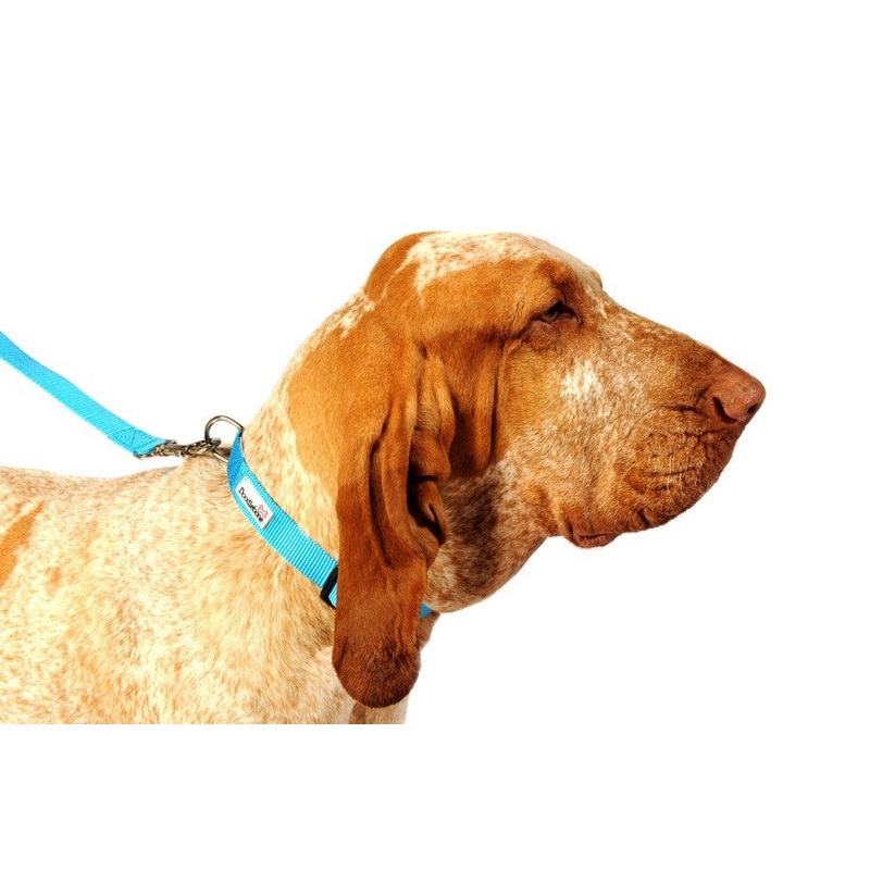 Doodlebone Originals Dog Lead
