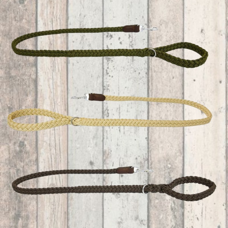 Earthbound Braided Dog Leads
