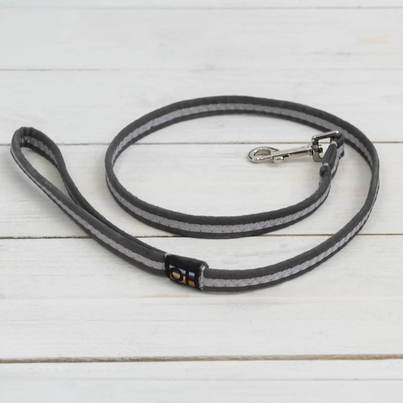 Grey Oscar and Hooch Dog Lead