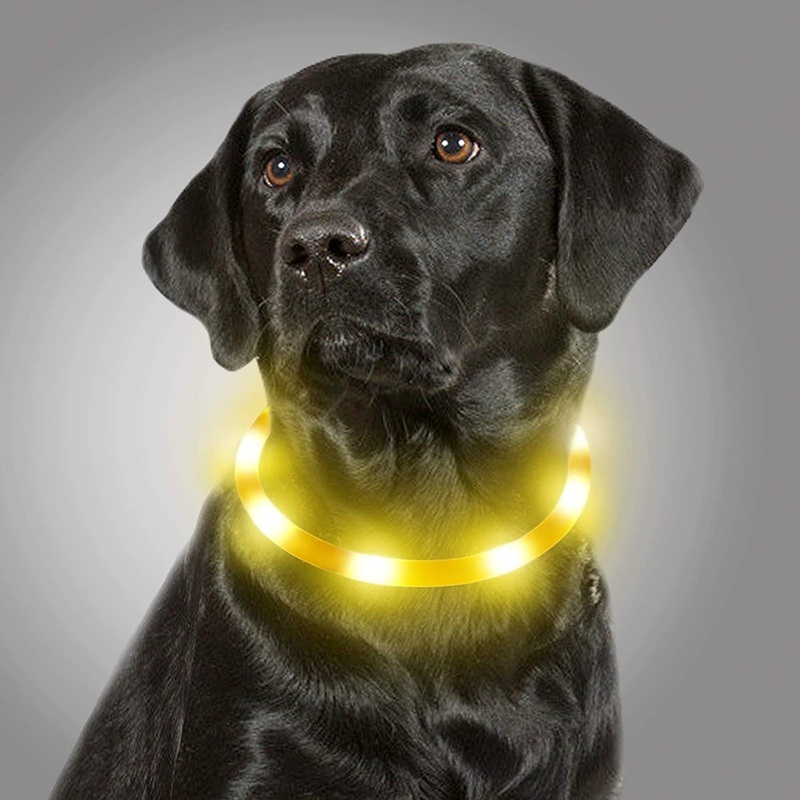LED Light Up Collar for Dogs