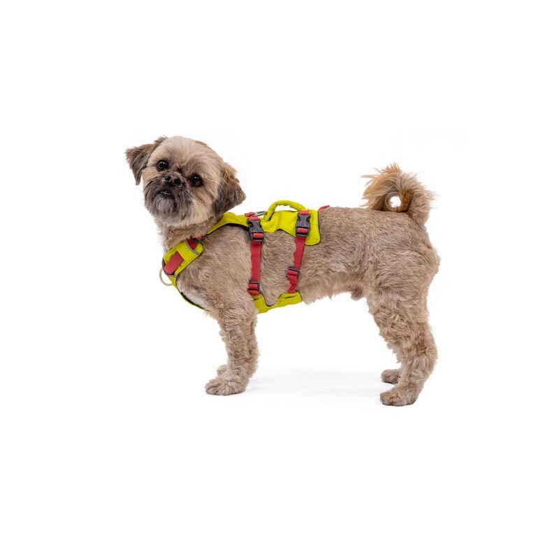 Ruffwear Flagline Dog Harness with Handle