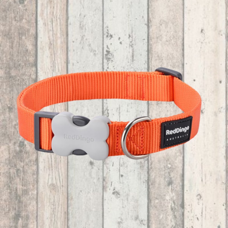 Simply Orange Dog Collar by Red Dingo