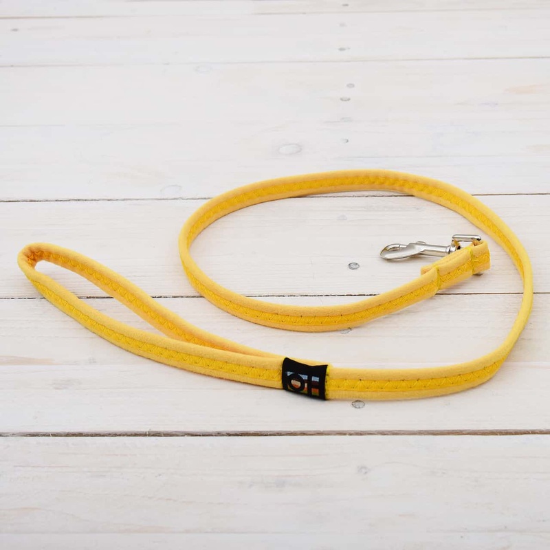 Yellow Oscar and Hooch Dog Lead