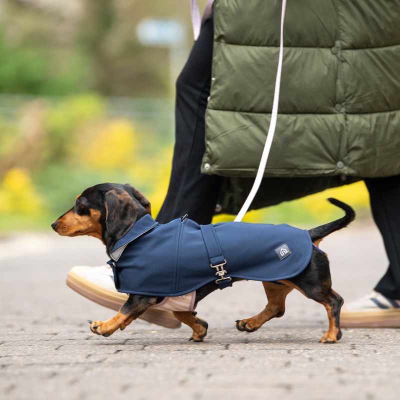 Dachshund Waterproof Coat