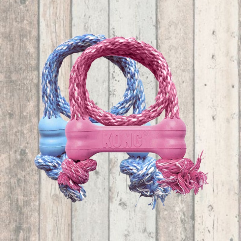 Kong Puppy Goodie Bone with Rope