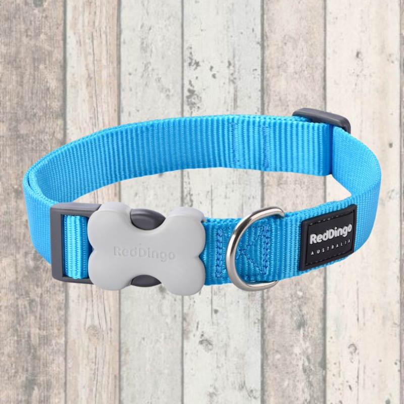 Turquoise Dog Collar by Red Dingo