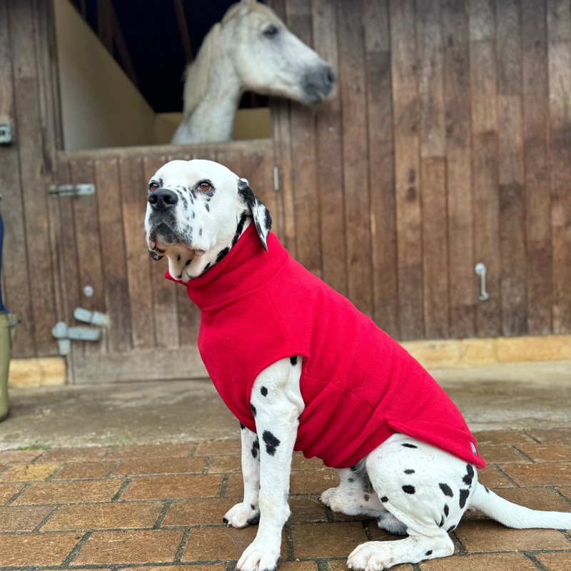 Extra Large Breed Dog Fleece Jumper
