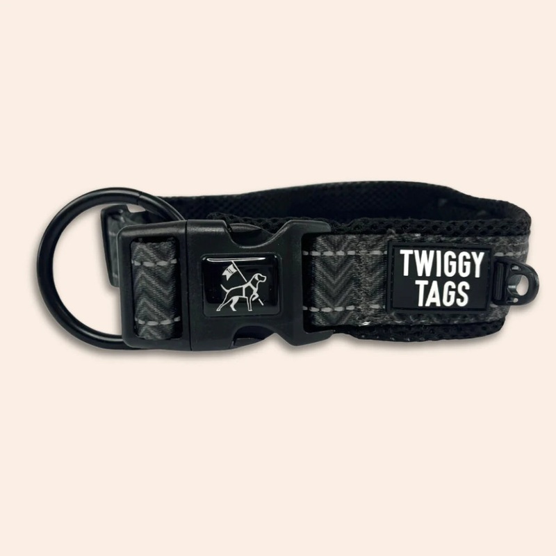 Twiggy Tags Adventure Collar in Petrichor