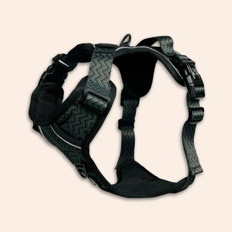 Twiggy Tags Adventure Harness in Petrichor