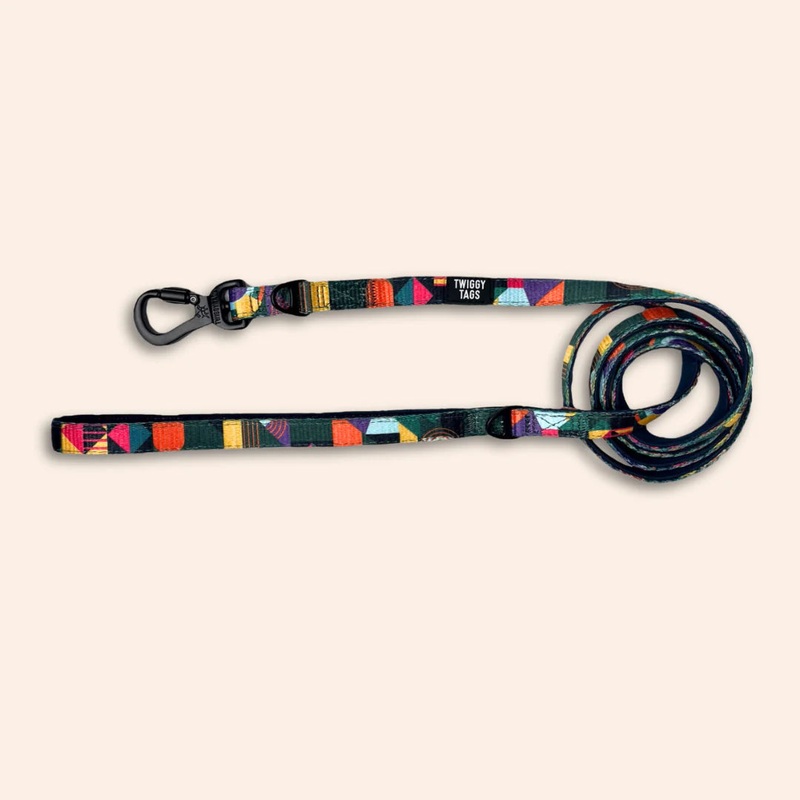 Twiggy Tags Adventure Lead in Aurora