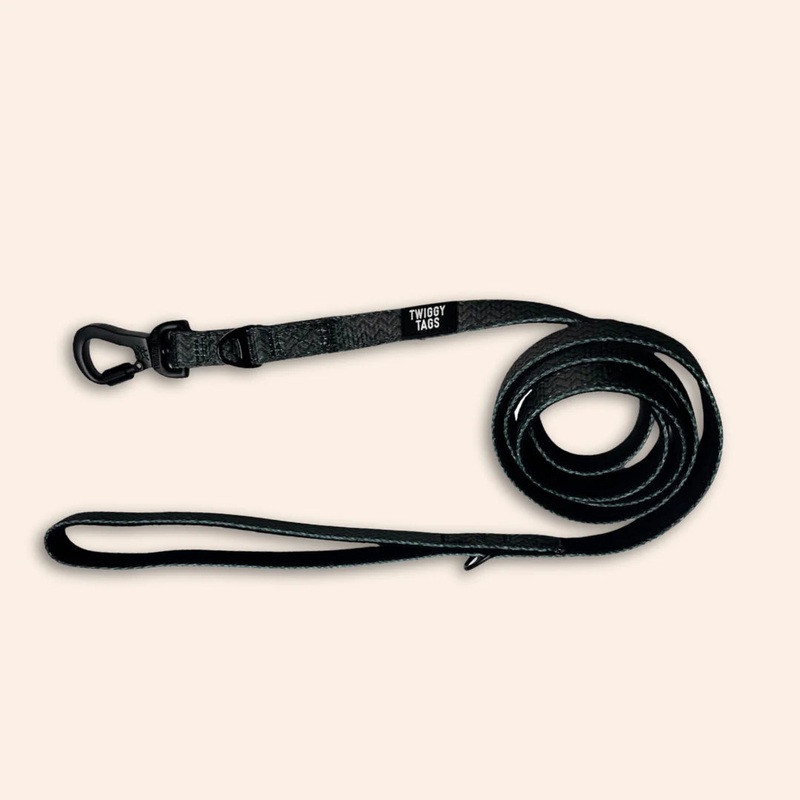 Twiggy Tags Adventure Lead in Petrichor