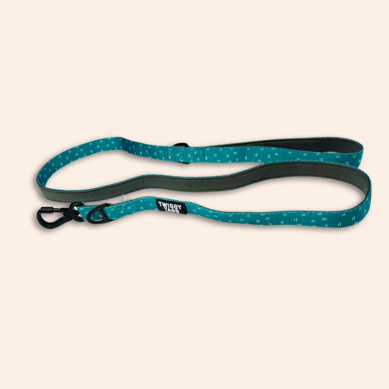 Twiggy Tags Adventure Lead in Tranquil