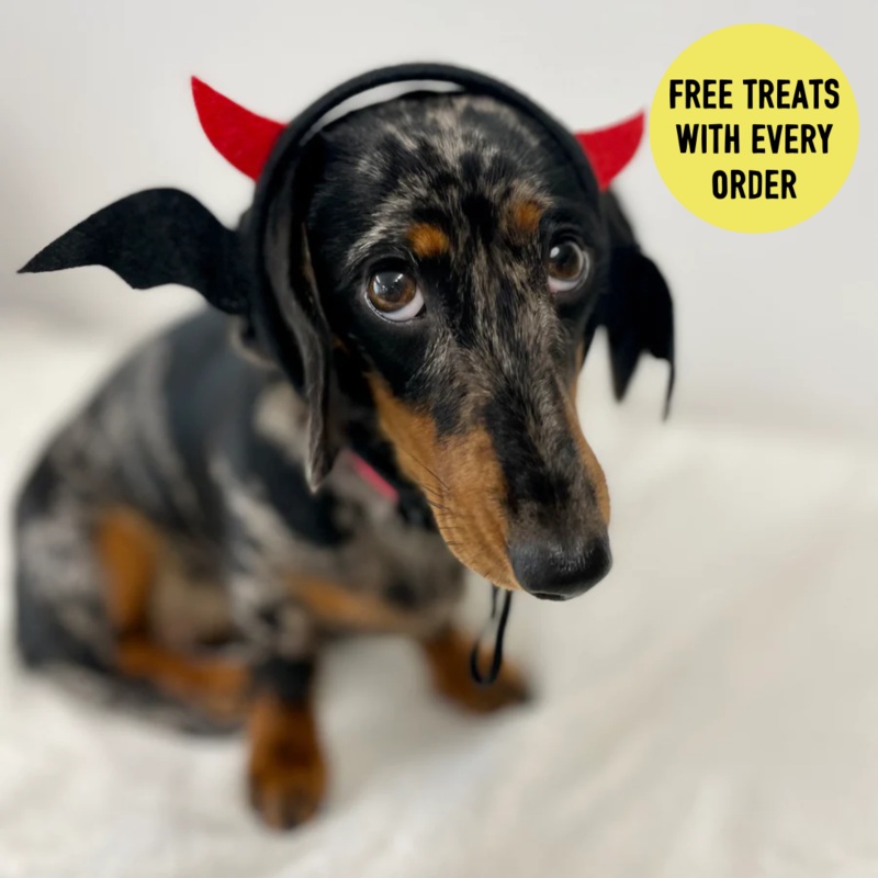 Bat Devil Headband Fancy Dress for Dogs