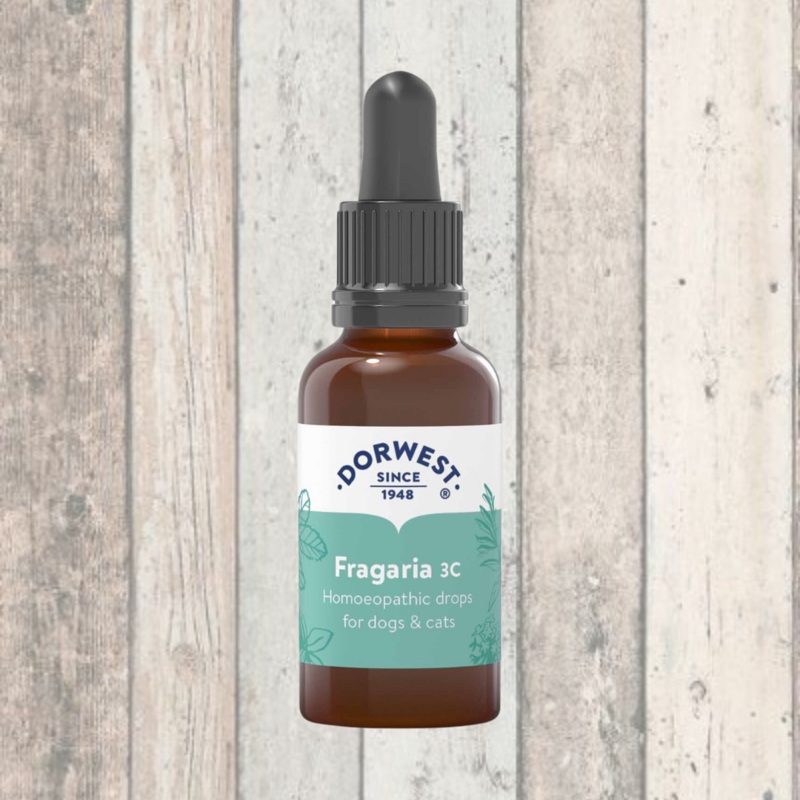 Dorwest Fragaria Drops 15ml