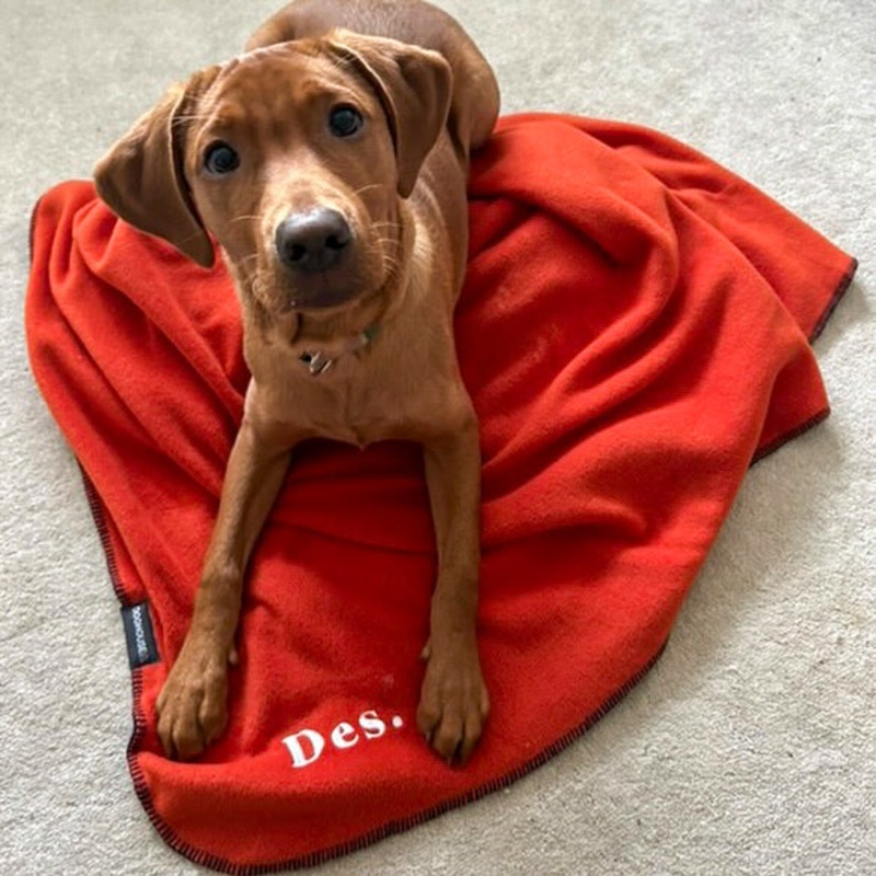 Double-Lined Stitch Blankets for Pets