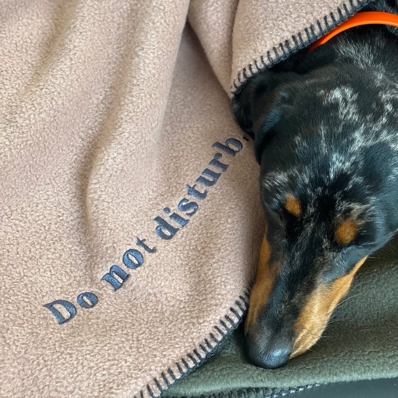 Fleece Dog Blanket Statements