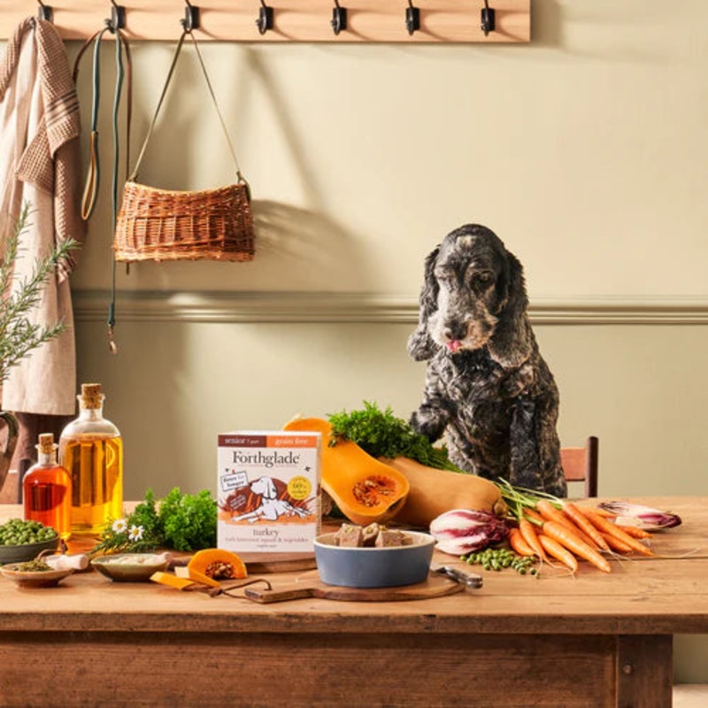 Forthglade Senior Complete Wet Dog Food