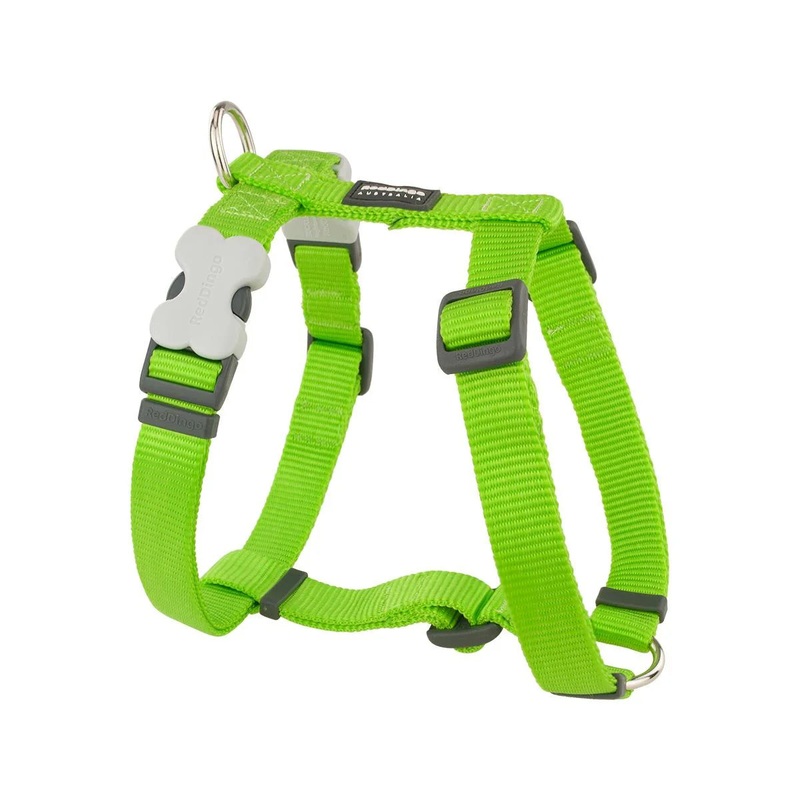Lime Green Harness by Red Dingo