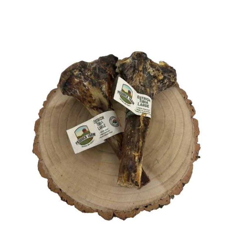 Ostrich Large Tibia Bone