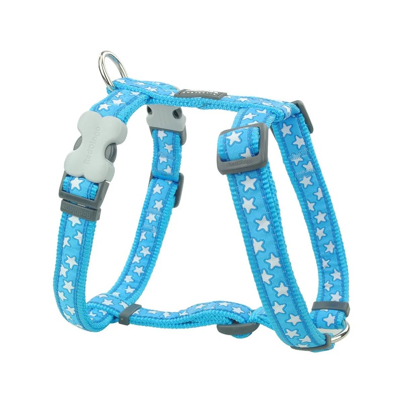 Red Dingo Blue Star Harness