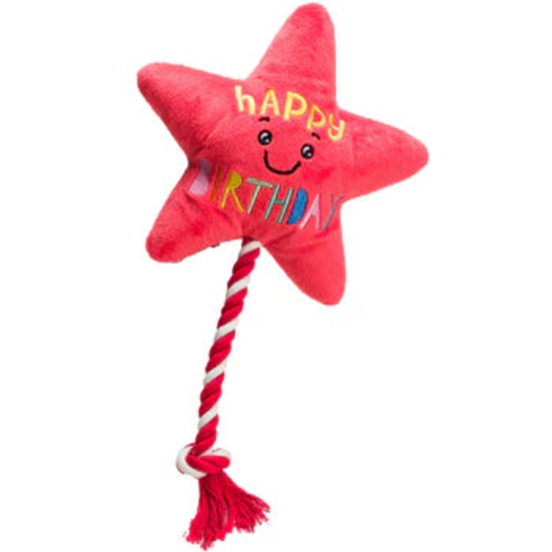 Star Balloon And Rope Toy
