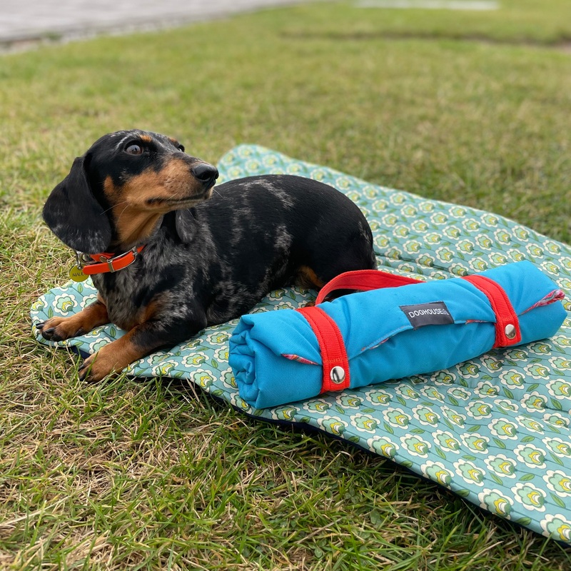 Waterproof Pet Settle Mat