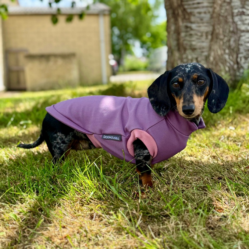 Dachshund Summer Ponte T-Shirt