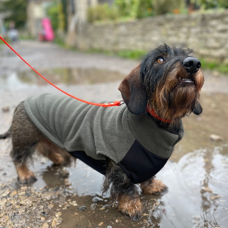 Dog Fleece Jumper with Waterproof Belly Panel