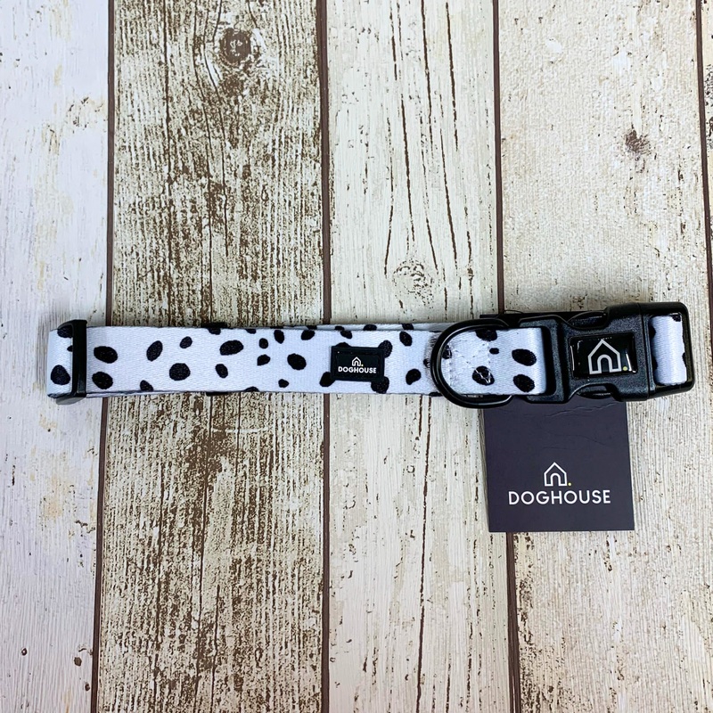 Everyday Comfort Dog Collar in Dalmatian Spot