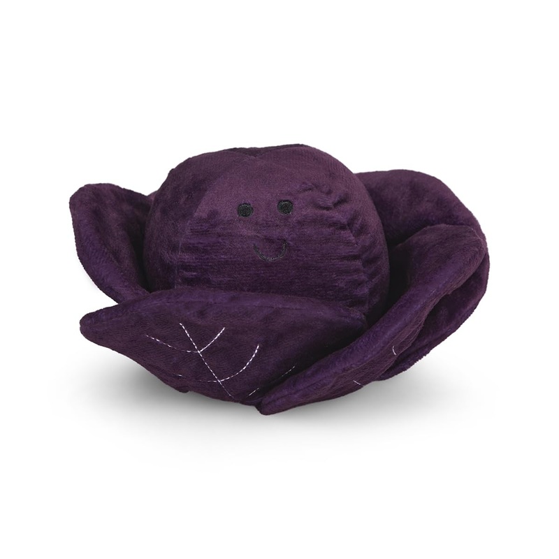 Foodie Faces Ruby Red Cabbage Plush Toy