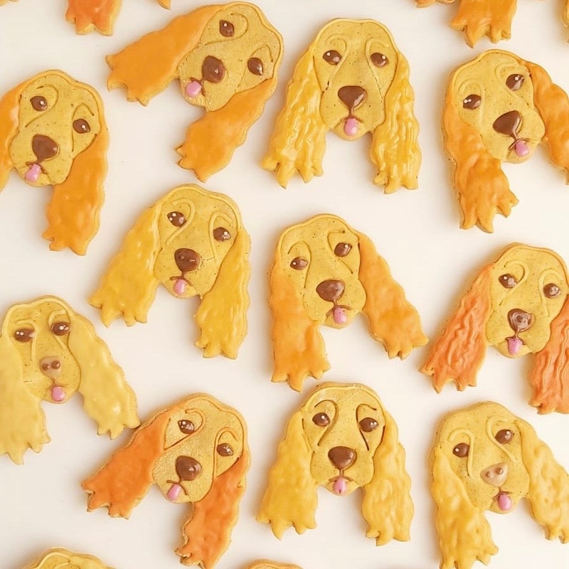 Handmade Spaniel Biscuits for Dogs