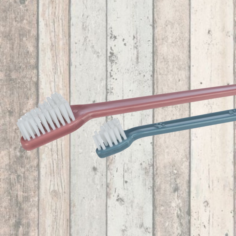 Trixie Dog Toothbrush Set of 4