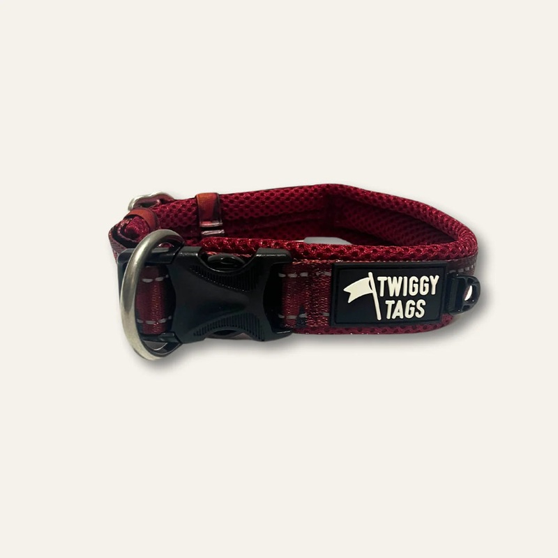 Twiggy Tags Adventure Collar Alpenglow