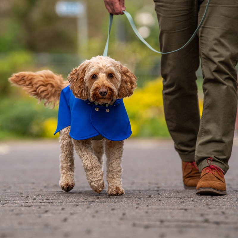 Waterproof Coat for Dogs