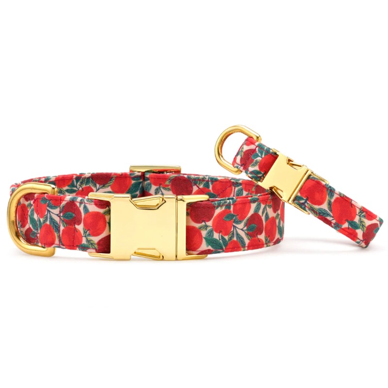 The Foggy Dog Collar - Apple of My Eye