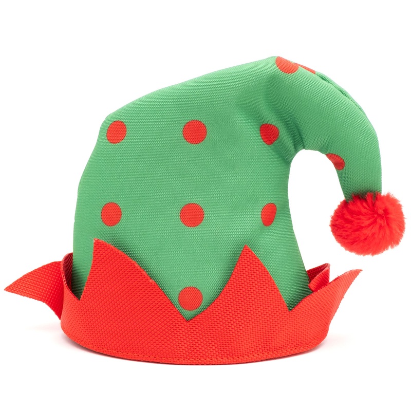 The Worthy Dog Elf Party Hat