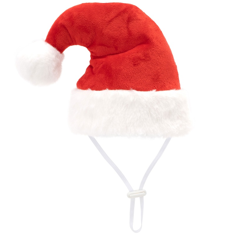 The Worthy Dog Ho Ho Ho Party Hat