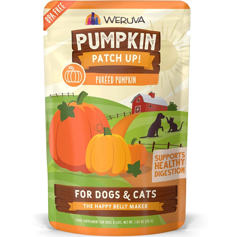 Weruva Pumpkin Patch Up Pumpkin Dog Food