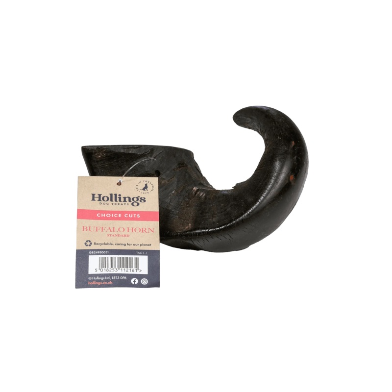 Buffalo Horn (Medium)