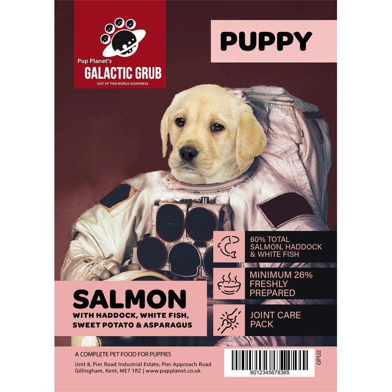 Galactic Grub Salmon (Puppy)