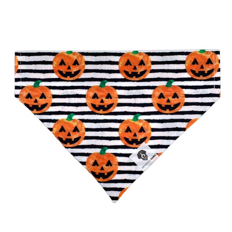 Jack O' Lanterns Slip-On Dog Bandana