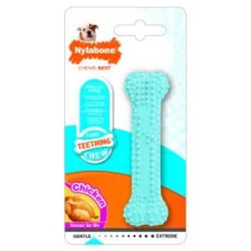 Nylabone Puppy Dental Chicken Blue