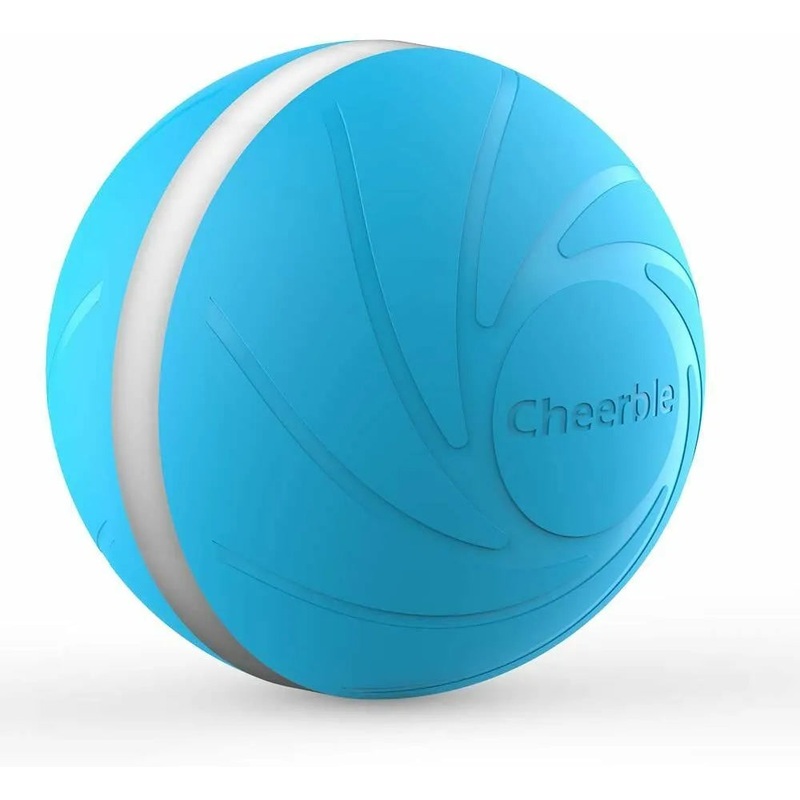 Wicked Ball - Interactive Toy