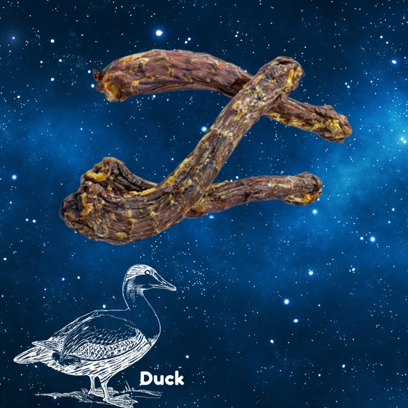 Dried Duck Neck (single)