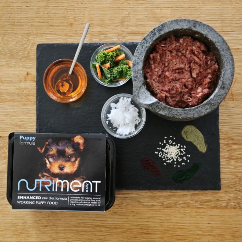 Nutriment - Puppy Formula - From 6 Weeks - 500G Tub