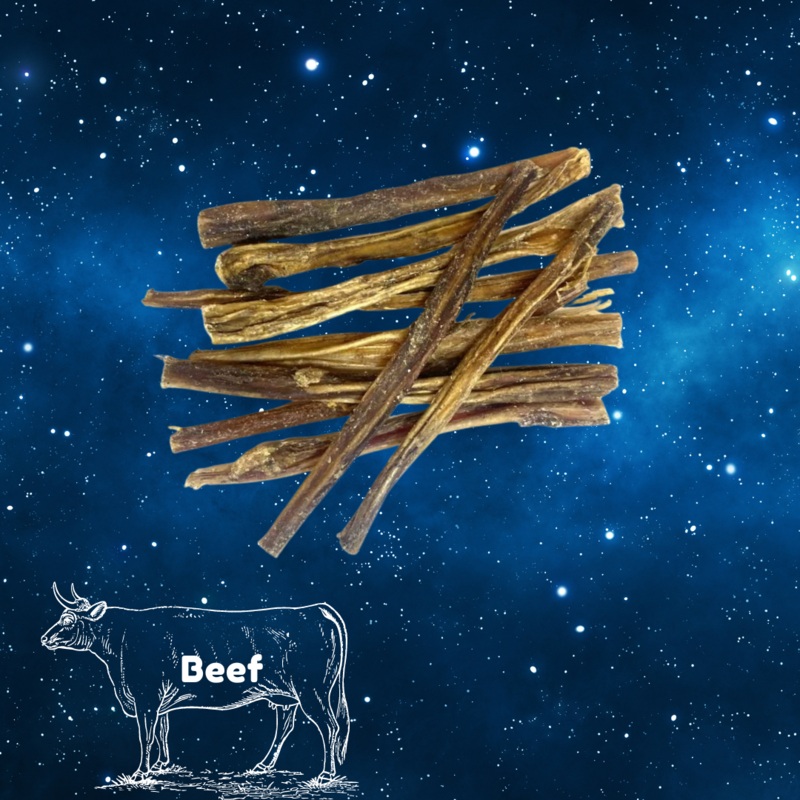 Pup Planet Deli - Bulls (beef) Pizzle